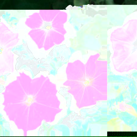 Unbranded Petunia Picotee Mixed Plants Pack of 20 Easiplants