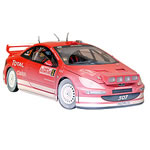 Peugeot 307 WRC Monte Carlo 2004
