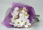 Unbranded Phalaenopsis Orchid Bouquet