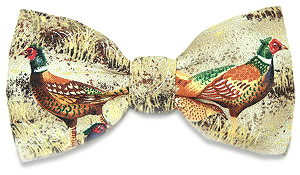 Unbranded Pheasant Bow Tie