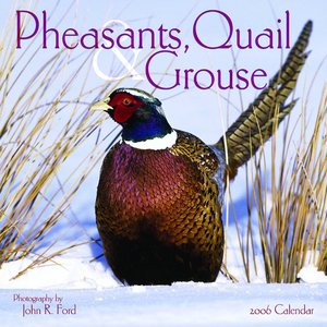 Pheasants Quail & Grouse Calendar