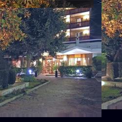 Unbranded Pinewood Hotel