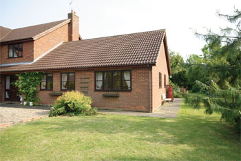 Unbranded Pingles End