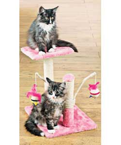 Pink Cat Scratcher