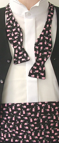 Unbranded Pink Elephants Cummerbund / Bow Tie Set