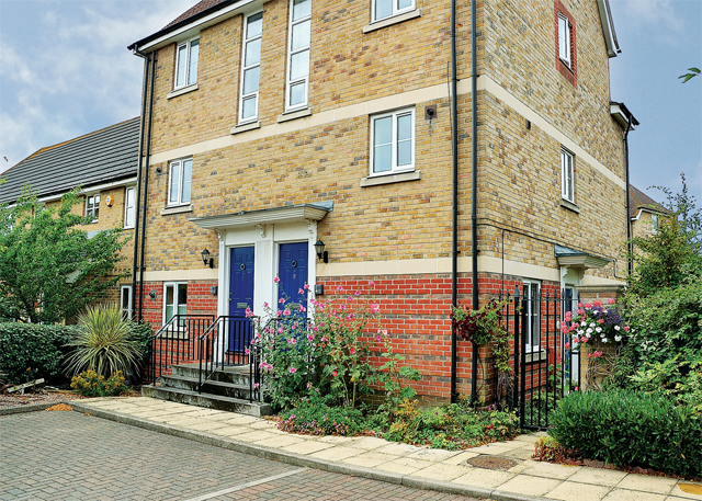Unbranded Pintails View