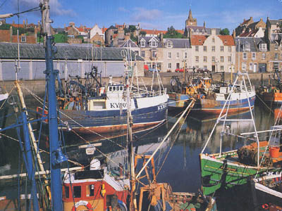 Cardboard jigsaw puzzle