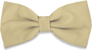 Unbranded Plain Beige Bow Tie