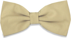 Unbranded Plain Beige Bow Tie