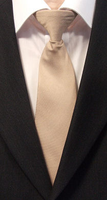 Unbranded Plain Beige Clip-On Tie