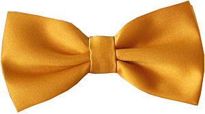 Plain Burnt Orange Bow Tie