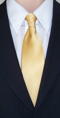 Unbranded Plain Gold Clip-On Tie