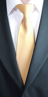 Unbranded Plain Mustard Clip-On Tie