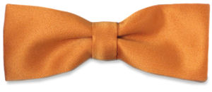 Unbranded Plain Orange Gold Narrow Bow Tie