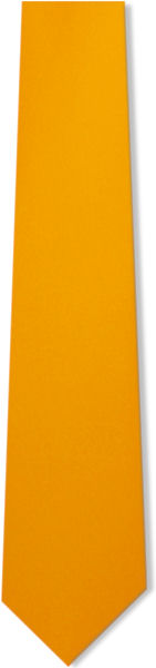 Unbranded Plain Orange Gold Tie