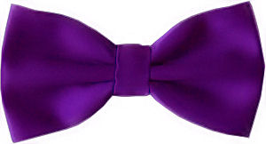 Plain Purple Bow Tie