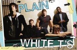 Unbranded PLAIN WHITE T`