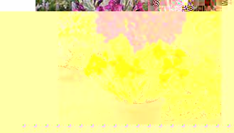 Unbranded Plant-o-Mat Classic - Gladiolus/Freesia