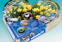 Unbranded Plant-O-Tray Heart Preplanted Bulbs -