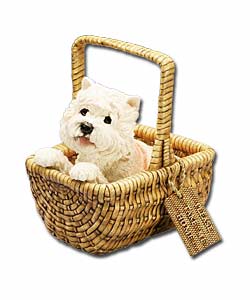 Please Take Me Home Westie