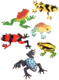 Unbranded Poison Arrow Frog