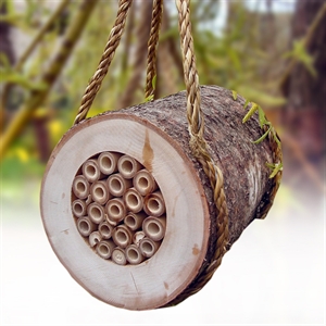 Unbranded Pollinating Bee Log