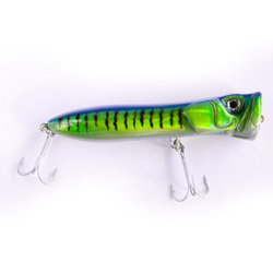 Unbranded Popper / Chug Bug - Large - Vibrant