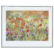 Unbranded Poppy Field Block Mount 40x50cm