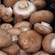 Unbranded Portabello mushrooms, 1.5kg