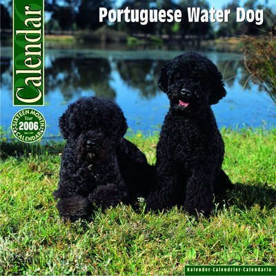 Portugese Water Dog Calendar