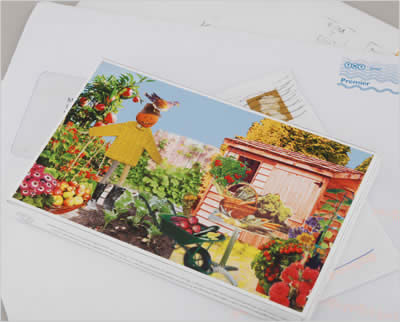 Unbranded PostCarden The Mini Living Garden - Allotment