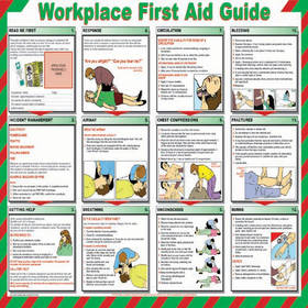 Unbranded Poster First Aid Guide Plastic