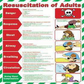 Unbranded Poster Resuscitation of Adults 420x590mm Plastic
