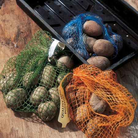 Unbranded Potato All Season Taster Collection Pack of 30