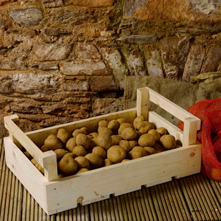 Unbranded Potato Chitting/Storage Trays 1 Tray
