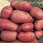 Unbranded Potato Desiree - 3 kg