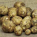 Unbranded Potato Dunluce - 3kg 447624.htm