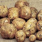 Unbranded Potato Dunluce - 3kg