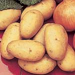 Unbranded Potato Kestrel - 3 kg