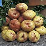 Unbranded Potato King Edward - 3 kg 457535.htm