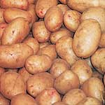 Unbranded Potato Lady Balfour - 3 kg