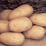 Unbranded Potato Maris Piper (3 kg)