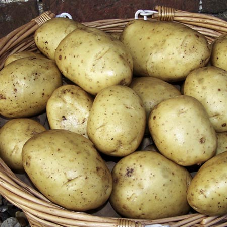 Unbranded Potato Markies - 3kg 3kg
