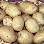 Unbranded Potato Markies - 3kg