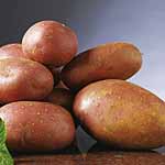 Unbranded Potato Rooster - 3kg