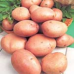 Unbranded Potato Vanessa - 3 kg