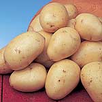 Unbranded Potato Winston - 3 kg