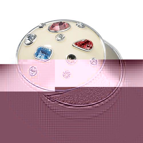 Unbranded Precious Trinket Box