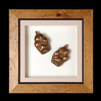 Unbranded Premium Home Paw Casting Kit