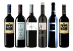 Premium Spanish Red Wine Case